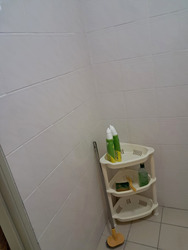 Blk 123E Rivervale Grove (Sengkang), HDB 4 Rooms #537743081